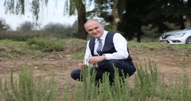 Düzce Belediyesinden tarıma yönelen gençlere destek
