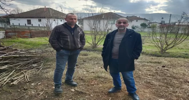 Düzce’de ağıla giren sahipsiz köpekler, 3 küçükbaş hayvanı telef etti