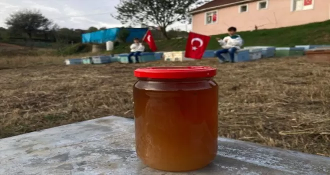 Düzce’de arı kovanlarından 100. yıl  koreografisi