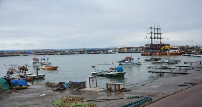 Düzce'de bereketiyle yüz güldüren palamut sezonu sona erdi