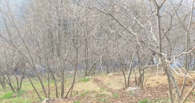 Düzce'de çıkan örtü yangını söndürüldü