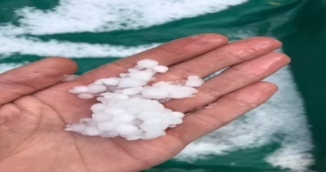 Düzce’de dolu etkili oldu