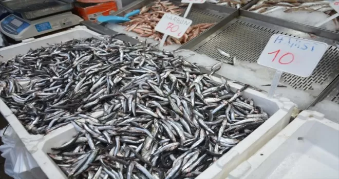 Düzce'de fiyatı 10 liraya düşen hamsi yoğun rağbet görüyor