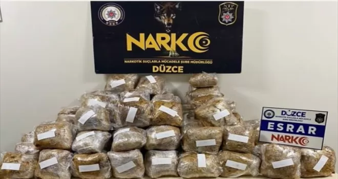 Düzce'de kargo aracındaki valizlerde 65 kilogram esrar ele geçirildi