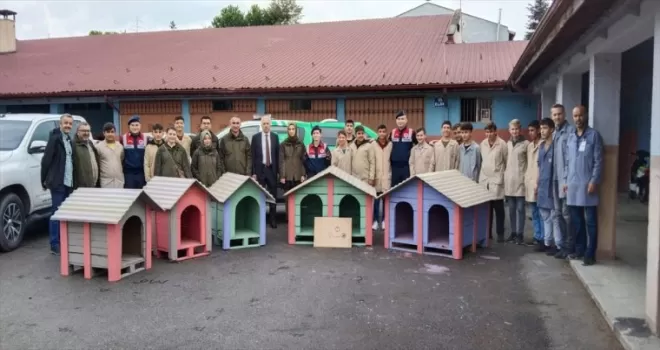 Düzce'de lise öğrencileri "can dostlar" için kulübe tasarladı
