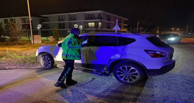 Düzce’de otomobille cipin çarpıştığı kazada 2 kişi yaralandı