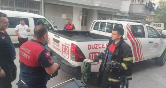 Düzce’de park halindeki minibüse giren yılanı itfaiye ekibi çıkardı