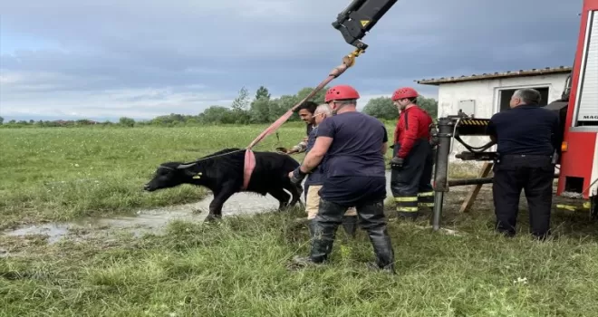 Düzce’de su kuyusuna düşen mandayı itfaiye kurtardı