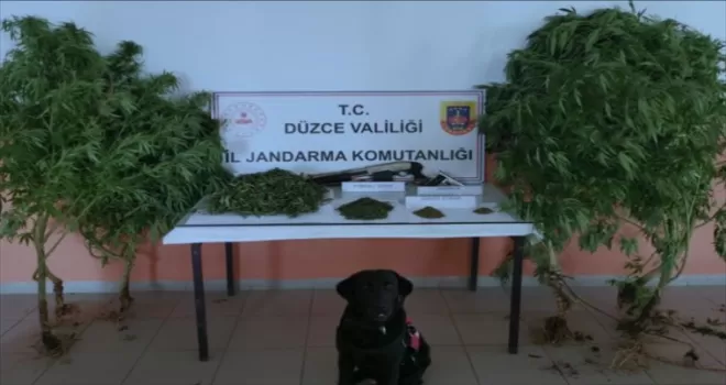 Düzce’de uyuşturucu operasyonunda 1 şüpheli gözaltına alındı