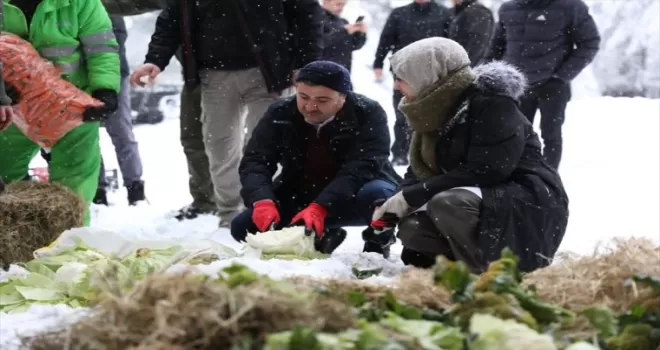 Düzce Valisi Atay, yaban hayvanları için doğaya yem bıraktı