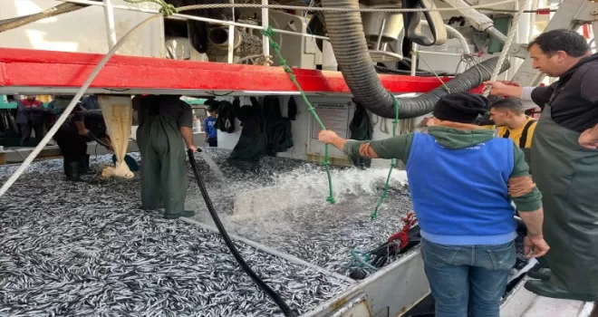 Düzce ve Zonguldak’ta balıkçılar kasalar dolusu hamsi avladı