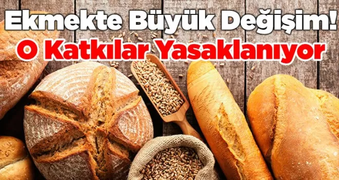 Ekmekte Büyük Değişim! O Katkılar Yasaklanıyor