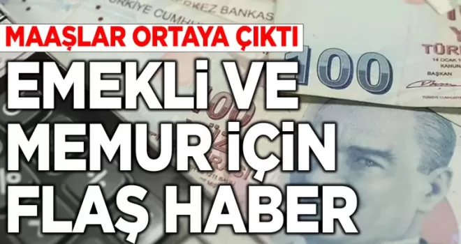Emekli ve memur flaş haber: Ocak’ta alacakları maaş ortaya çıktı