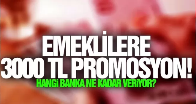 Emeklilere 3 bin TL promosyon!