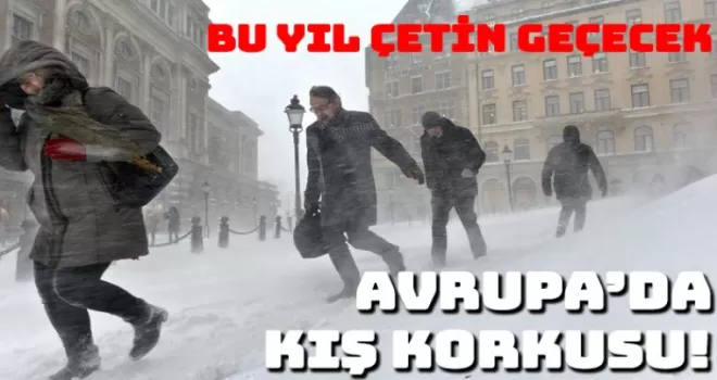 Enerji krizi yüzünden Avrupa'da kış alarmı!