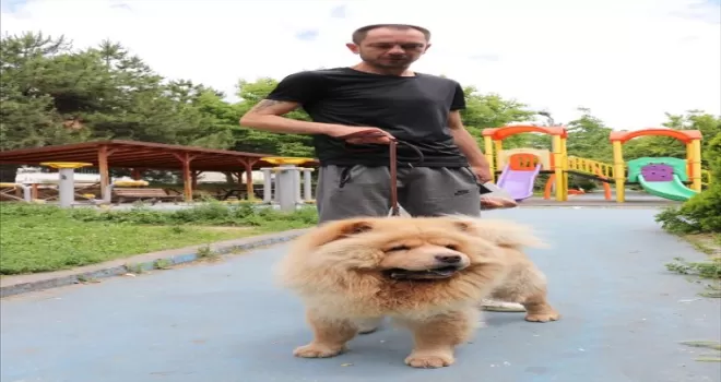 Enkazdan kurtarılma videolarını gördüğü “Şans“ı Hatay’dan alıp evine getirdi