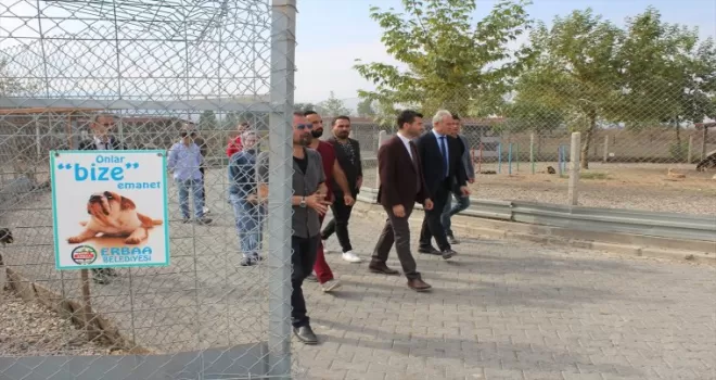 Erbaa’da öğrenciler hayvan barınağının duvarlarına resim çizdiler