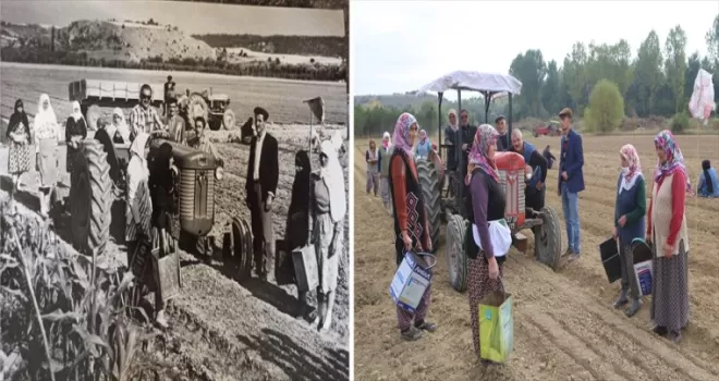 Fidanlık çalışanları 60 yıl önceki işçilerin pozunun aynısını verdi