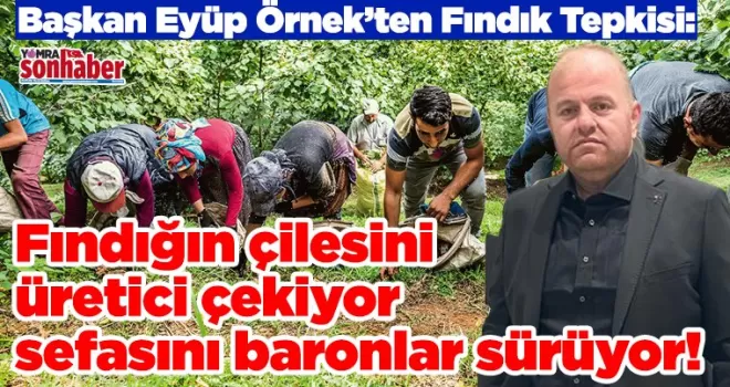 “Fındığın çilesini üretici çekiyor sefasını baronlar sürüyor!”