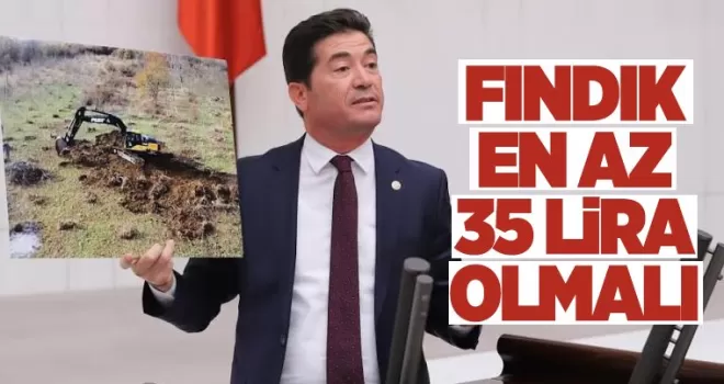 Fındık en az 35 lira olmalı