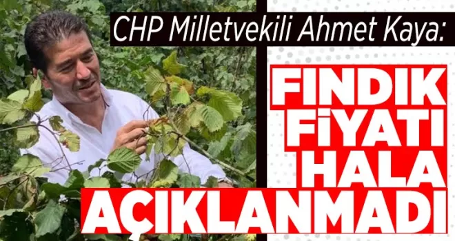 Fındık Fiyatı hala açıklanmadı