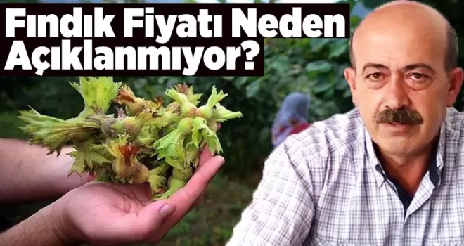 Fındık Fiyatı Neden Açıklanmıyor?