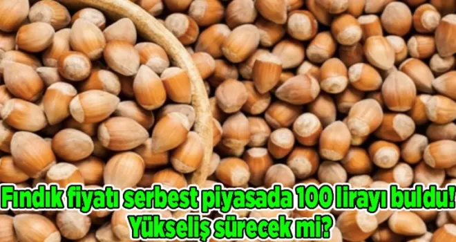 Fındık fiyatı serbest piyasada 100 lirayı buldu! Yükseliş sürecek mi?