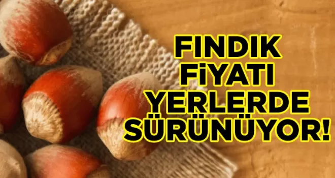 Fındık fiyatı yerlerde sürünüyor…