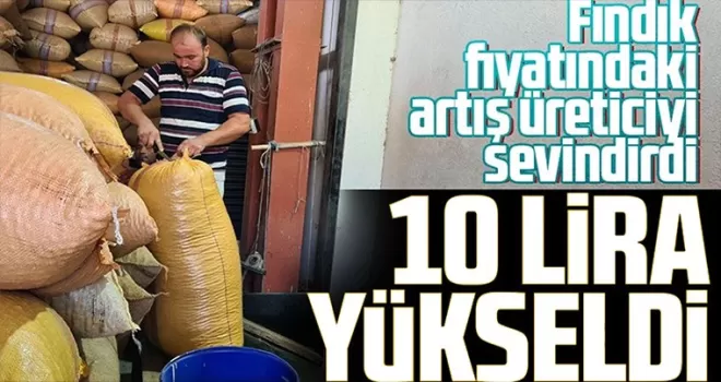 Fındık fiyatındaki artış üreticiyi sevindirdi
