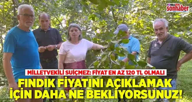 FINDIK FİYATINI AÇIKLAMAK İÇİN DAHA NE BEKLİYORSUNUZ!