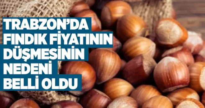 Fındık fiyatının düşmesinin nedeni belli oldu!  