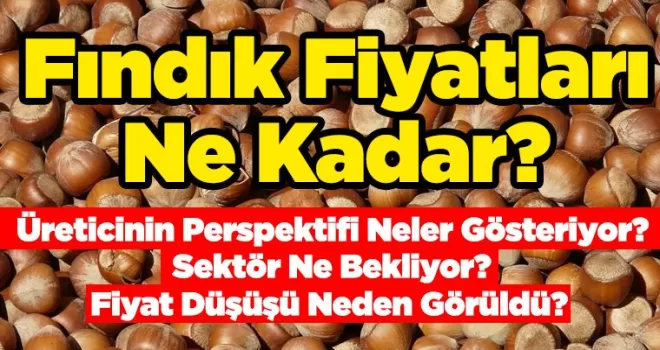 Fındık Fiyatları Ne Kadar?