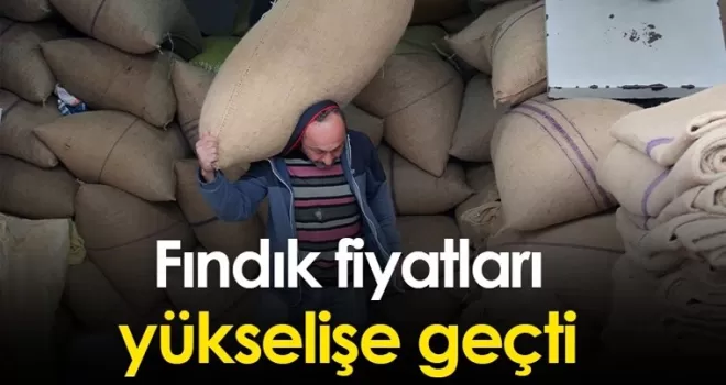 Fındık fiyatları yükselişe geçti