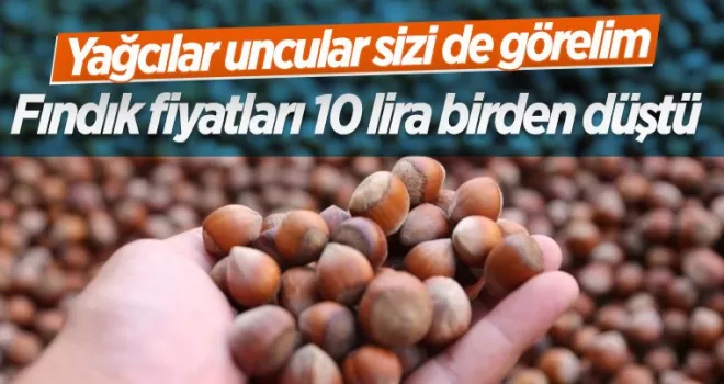 Fındık fiyatlarında düşüş