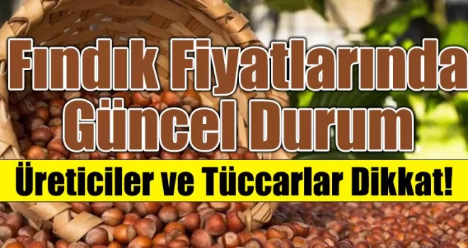Fındık Fiyatlarında Güncelleme Oldu! 