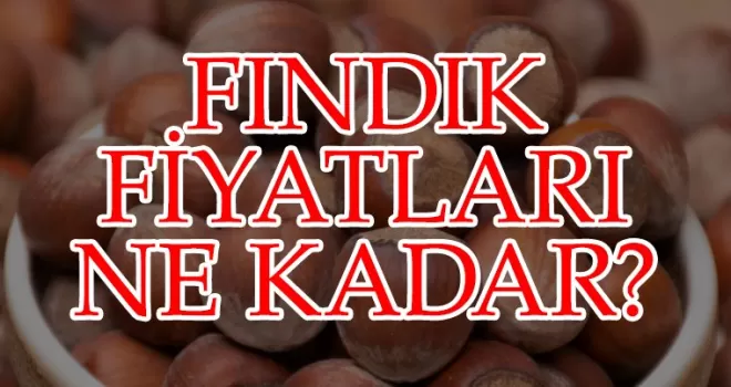 Fındık Fiyatlarında Güncelleme!