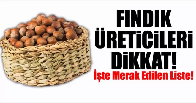 Fındık Fiyatlarında  İşte Üreticilerin Merak Ettiği Liste
