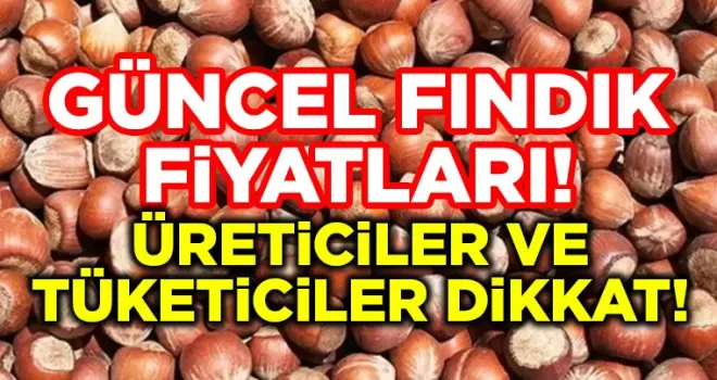 Fındık Fiyatlarında Şok Artış! Üreticiler ve Tüketiciler Dikkat
