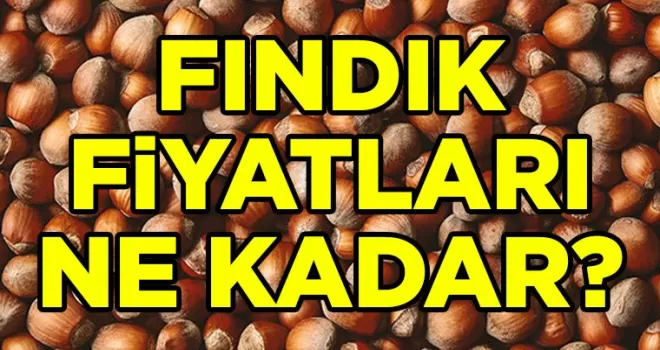 Fındık Fiyatlarında Son Durum: Piyasada Hangi Bölgede Ne Kadar?