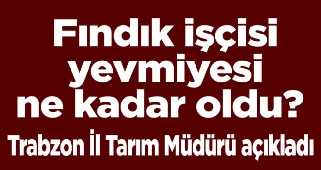 Fındık işçisi yevmiyesi ne kadar oldu? Trabzon İl Tarım Müdürü açıkladı