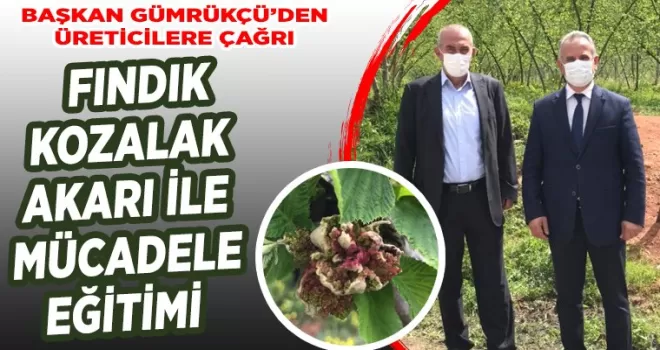 Fındık Kozalak Akarı İle Mücadele Eğitimi