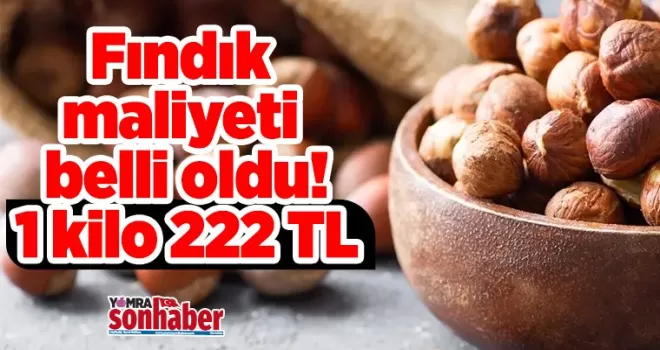 Fındık maliyeti belli oldu! 1 kilo 222 TL