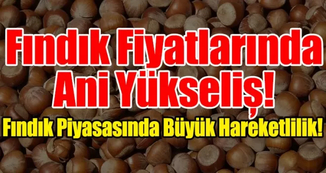 Fındık Piyasasında Büyük Hareketlilik! İşte En Güncel Fiyatlar