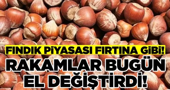 Fındık Piyasasında Fırtına: Bugün Rakamlar El Değiştirdi!