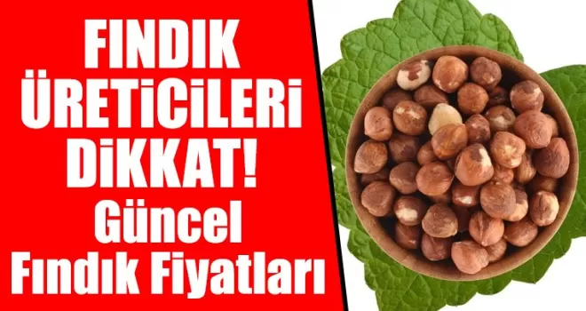FINDIK ÜRETİCİLERİ DİKKAT!