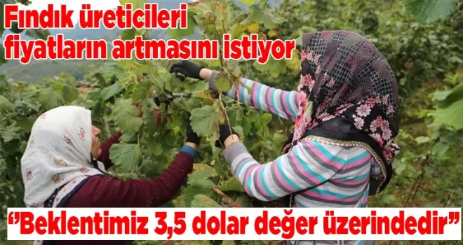 Fındık üreticileri fiyatların artmasını istiyor