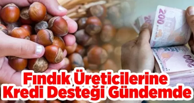 Fındık Üreticilerine Kredi Desteği Gündemde