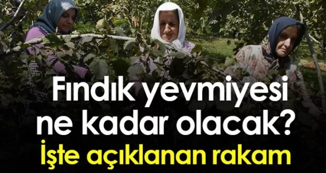 Fındık yevmiyesi ne kadar? 2023 Fındık yevmiyesi