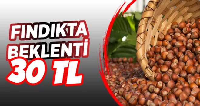 Fındıkta beklenti 30 TL