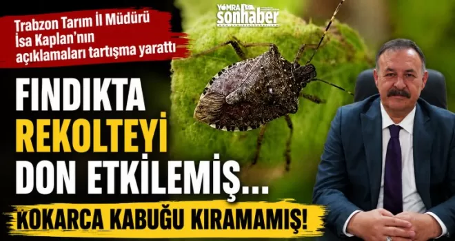 FIndıkta Rekolteyi don etkilemiş… Kokarca Kabuğu kıramamış!